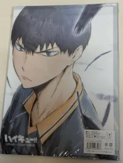 ハイキュー クリアファイル 5枚セット ジャンフェス2019