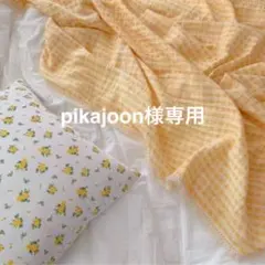 pikajoon様専用ページ