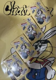 ASTRO ユンサナ chameleon ポカアルバム