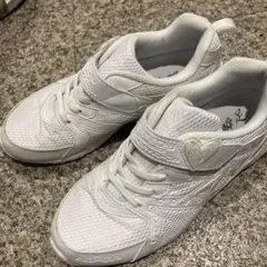 Item thumbnail for item 127d5054-243c-4e1f-954d-3bc37c3c335d