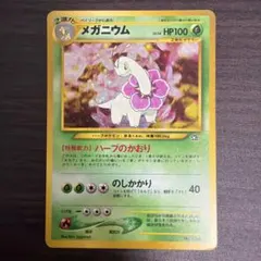 メガニウム_プレミアムファイル PROMO 第1世代 1996~1999 - メルカリ