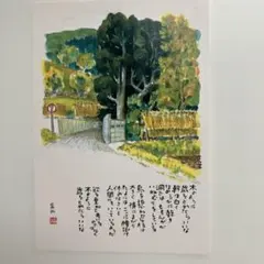 星野富弘 詩画集 ポストカード 3枚セット
