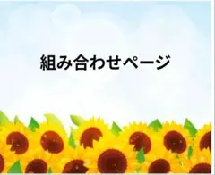 miwaミワさま専用
