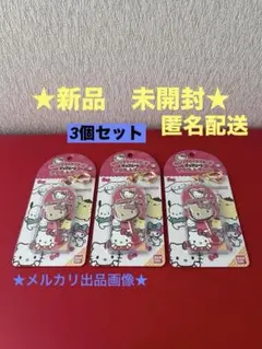 サンリオキャラクターズ チョコレート マスコットチャーム　ポチャッコ　3個セット