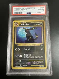 大晦日までの値下げです！【極希少】PSA10 ブラッキー　旧裏 PSA10 ブラッキー 旧裏 プレミアムファイル 197