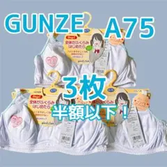 Item thumbnail for item e923bc57-ab54-4dab-9ef0-a56637347699