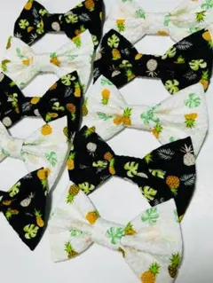 Item thumbnail for item a685bda2-a796-43ee-a034-ccdaf14efd35