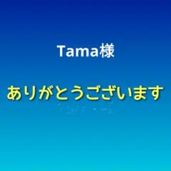 Tama様専用 パラコード2本セット