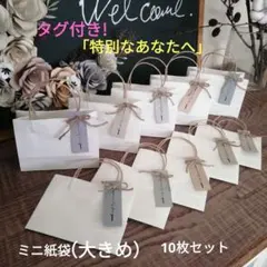 ミニ紙袋（大きめ）ホワイト無地10枚セット 淡色カラータグ付き!