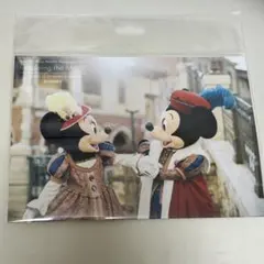 イマジニングザマジック ミニー