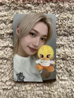 StrayKidsフィリックス ズートピア特典トレカ　新品
