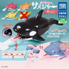 ぱくもぐ！サメジャー 〜宿敵！シャチがやってきた〜 ガチャ 5種類 サメジャー