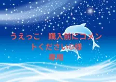 コンバース　プールバッグ