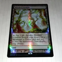 MTG Fangorn Forest 英語版 (Surge Foil) MTG Fangorn Forest 英語版 (Surge Foil) - メルカリ
