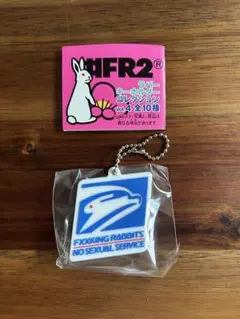 T*Y様 FR2 ラバーキーホルダー FR2柳 FR2月 FR2撫子 FR2梅 Amazon.co.jp: FR2撫子 CAUTION Rabbit Tシャ Lサイズ紫