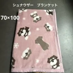《新品の》シュナウザー　シルクマイヤー　ブランケット 毛布　70×100㎝