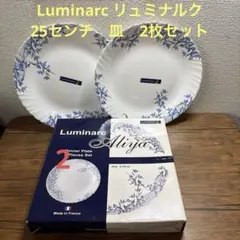 Luminarc リュミナルク　 25センチ　皿　プレート　2枚セットのサムネイル