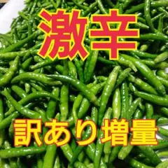 限定販売✨訳あり増量❗青唐辛子 激辛 農薬不使用のサムネイル