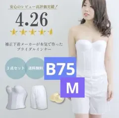 ホワイト ブライダルインナー 3点セット B75