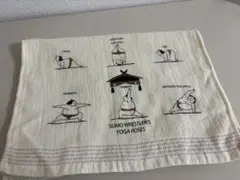 Item thumbnail for item 9fe59675-e9cd-44ac-b2c5-48d3f4134190