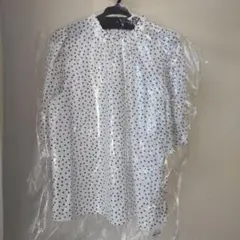 Item thumbnail for item 160d8b1f-e6e9-44f0-8280-6125a6b34485