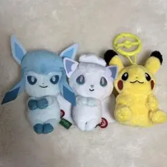 ポケモン ピカピカ星空キャンプ あつめて！ハッピーマスコット