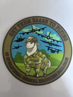 米空軍 48 Operation Medi Readines Squadron