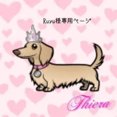 「Ruyu様専用ページ・サンプル」