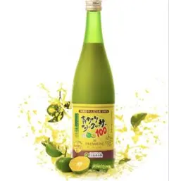沖縄シークヮーサー100%500ml 12本セット賞味期限26.12.27 - メルカリ