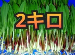 行者ニンニク 山菜 新鮮 天然 自然 - メルカリ