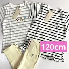 新品☆プティマイン☆Tシャツ2枚、ボトムス1点セット 120cm