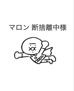 マロン　断捨離中様 リクエスト 2点 まとめ商品