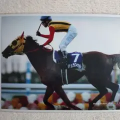 Item thumbnail for item 4eedd165-8103-4e2f-8bd0-8279e02f123d