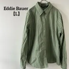 Eddie Bauer 【L】緑 ストライプ シャツ レディース トップス