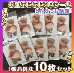 柴犬 おなか ぷにぷにシール 10枚 ぷっくり スクイーズ 立体ステッカー 韓国