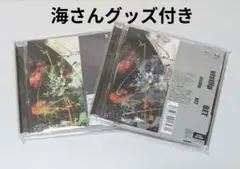 vistlip BET vister盤・lipper盤　海さんグッズ付き