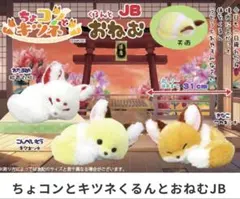 新品】ちょコンとキツネ くるんとおねむJB きなこ - メルカリ