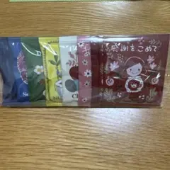 カレルチャペック　ティーバッグ　10枚セットのサムネイル