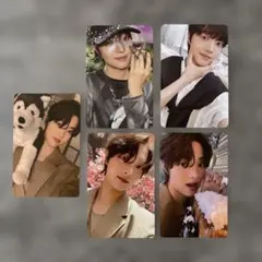 &teamウィジュトレカ