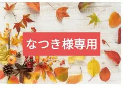 専用　手描きリクエストイラスト