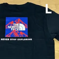 ノースフェイス THE NORTH FACEＴシャツUSモデル山柄黒Lタグ付