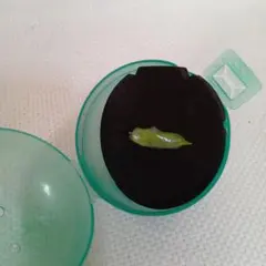 おもちゃ　指輪 グリーン ガチャ