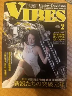 VIBES 雑誌 2014年2月号 通巻244号