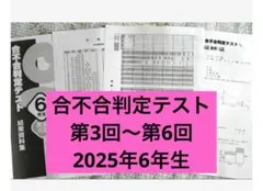 2026年最新】四谷大塚 合不合判定テスト 6年の人気アイテム - メルカリ