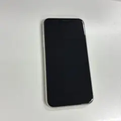 iPhone11本体（購入時の純正イヤホン、箱付き）64GB