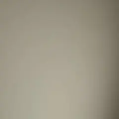 送料