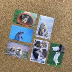 2026年最新】パスネット 鉄道の人気アイテム - メルカリ