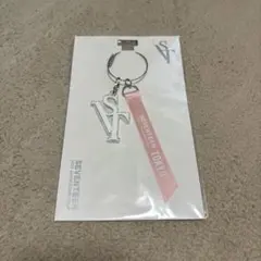SEVENTEEN 2020 JAPAN ドームツアー トレカホルダー チャーム - メルカリ