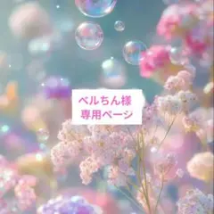 ベルちん様専用ページ