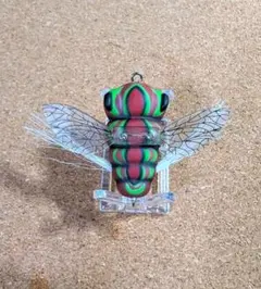 ノリーズ　ムシムラのサムネイル